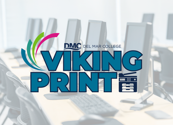A room of computers with the DMC Viking Print logo on the image