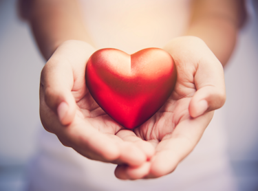 Two hands holding a plastic heart