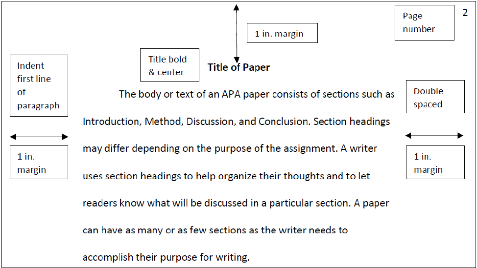 APA Body Del Mar College   Apa Text Body Example 